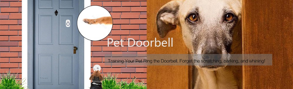 pet doorbell.jpg